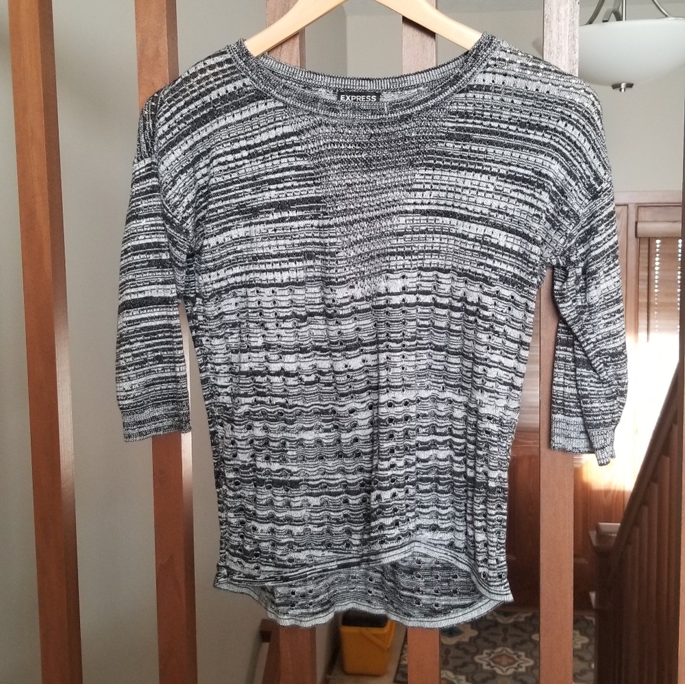 Express black and white stripe sweater